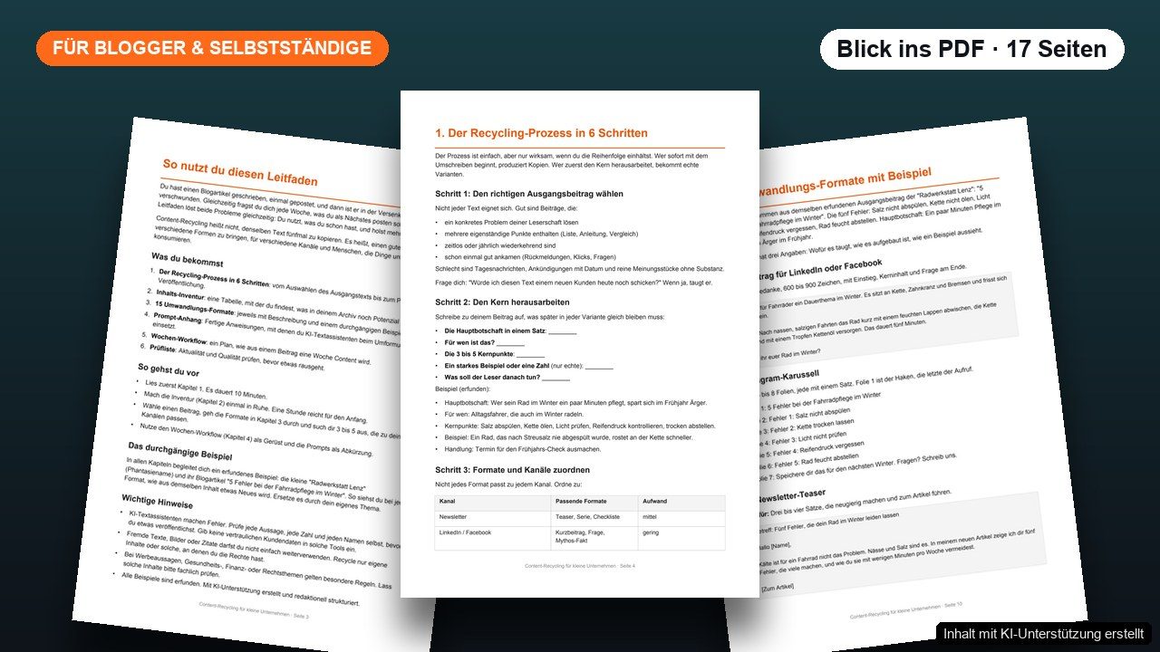 Blick ins PDF